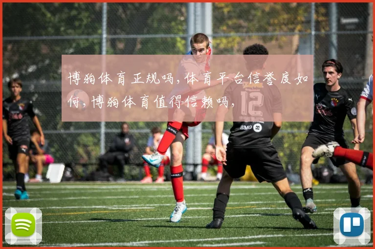 博狗体育正规吗,体育平台信誉度如何,博狗体育值得信赖吗,