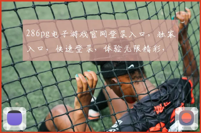 286pg电子游戏官网登录入口，独家入口，快速登录，体验无限精彩，三大亮点不容错过